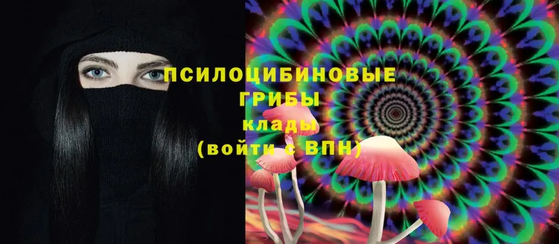 Галлюциногенные грибы Psilocybe  Подольск 